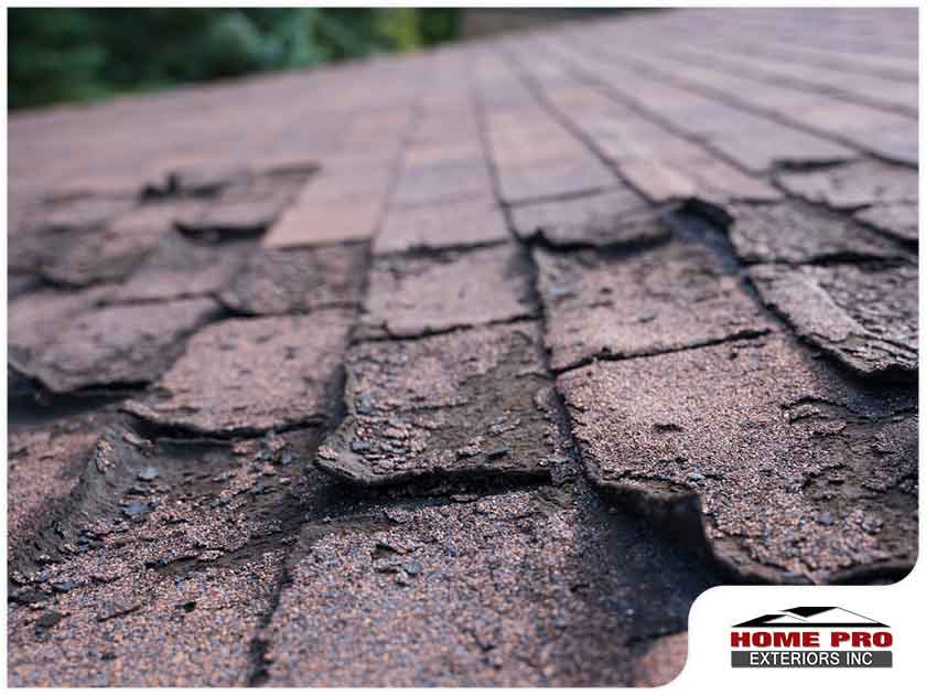 Shingle Cracks and Splits: Spotting the Difference