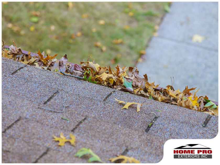 How NOT To Take Care Of Asphalt Shingles