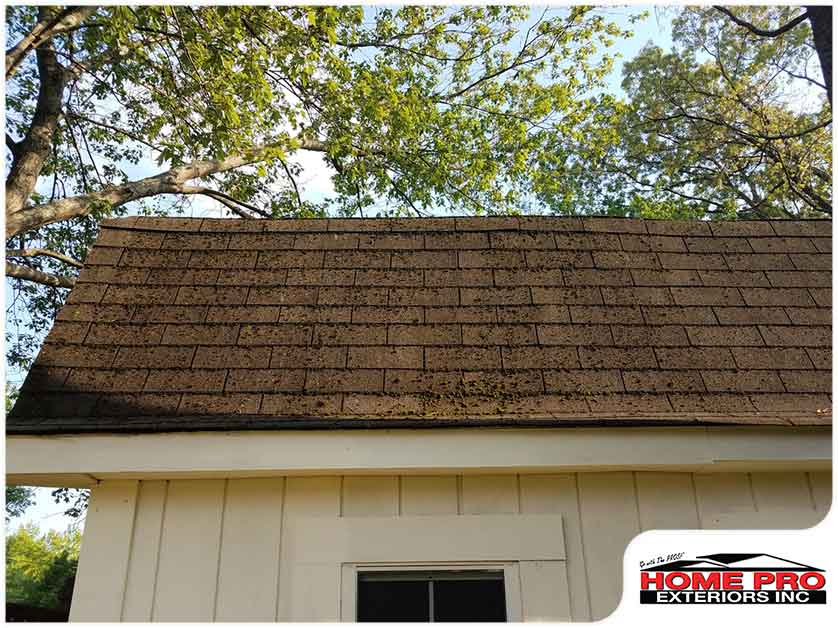 How to Tell if Your Roof Needs Repairs