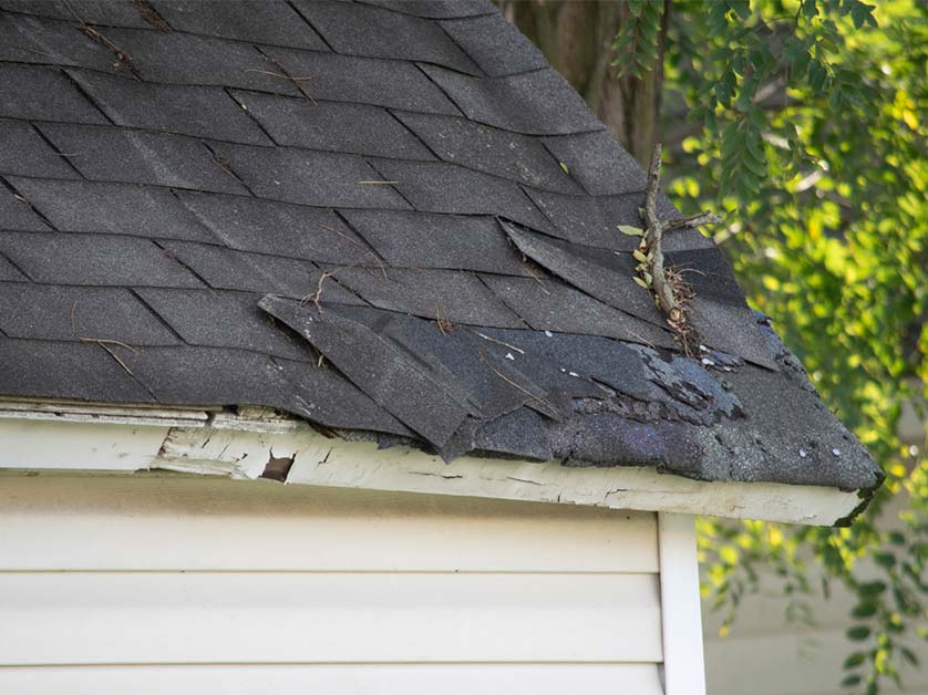 Unmasking the Impact of Humidity on Your Roof