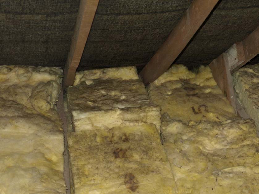7 Problems a Leaky Roof Can Give You